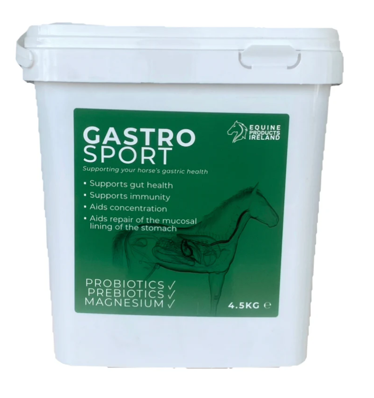 Gastro Sport