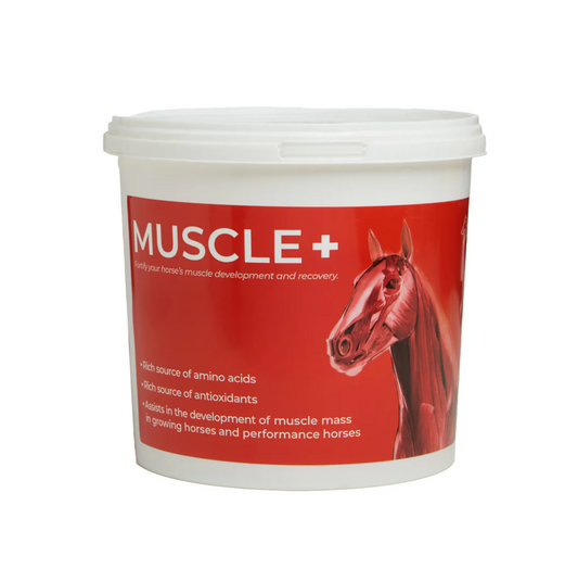 Muscle+